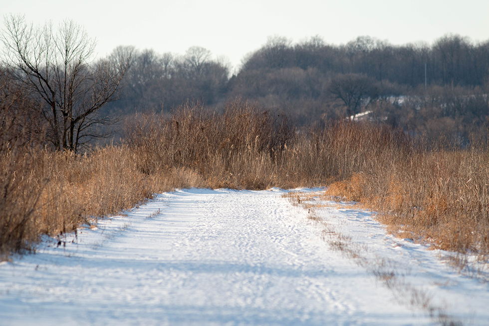 Paradise Valley State Wildlife Area, Sullivan, WI. 