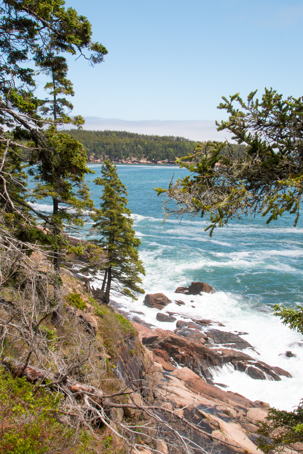 Acadia has a must-do 27 mile driving tour. It was really worth every minute with beautiful places to stop at every turn, or so it seemed. We couldn't stop at all of them, but we hit the highlights.