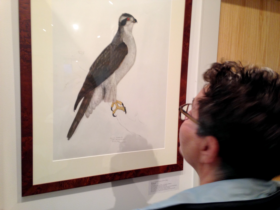 We had one rainy day on our trip during which we did some auto touring and just happened across the Wendell Gilley Museum in Southwest Harbor, ME. Wendell was a prolific decorative bird carver from 1931-1983. there are over 100 of his carvings on display. He and the carvings reminded me so much of my Grandpa, Walter Schwenck. There is also a collection of bird art by  other Maine artists on display. 