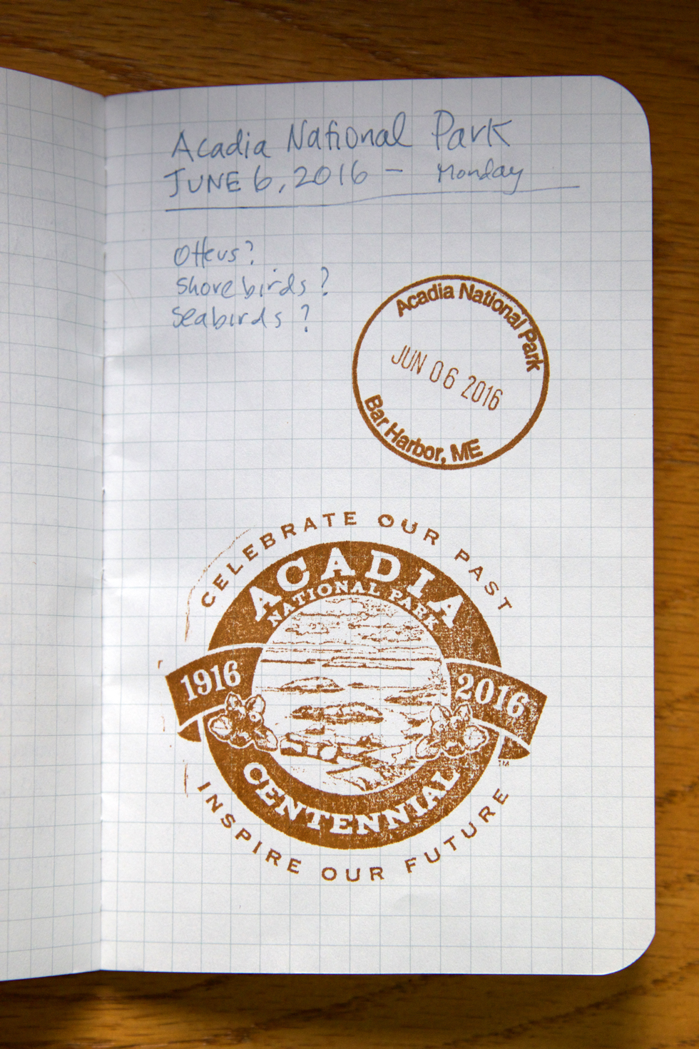 I got my birding notebook stamped at the Acadia Park HQ on our first day on Mount Desert Island. As you can see, it's the park's Centennial. I love National Parks. My goal is to visit all of them. Better get cracking.
